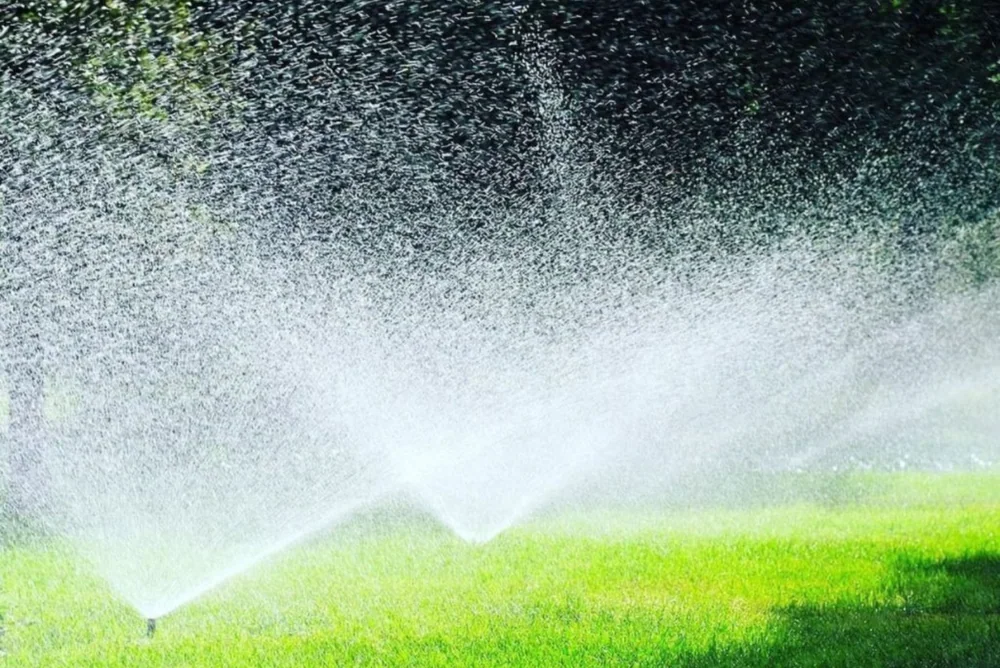Irrigation equipment used to water a planted landscape