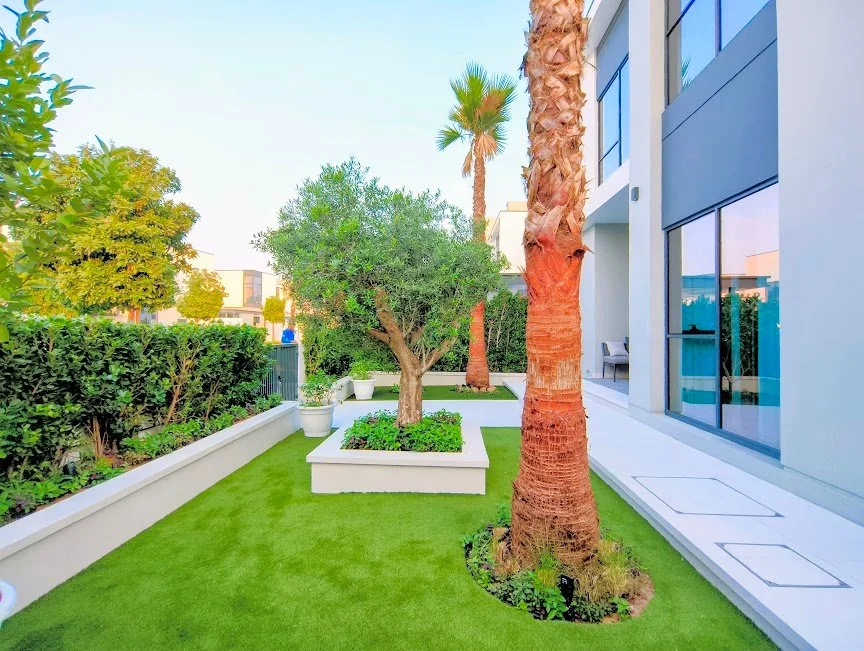 Garden planting and outdoor seating beside a home